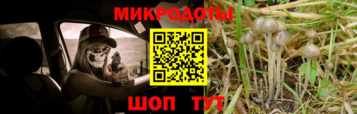 Псилоцибиновые грибы Psilocybine cubensis Рузаевка