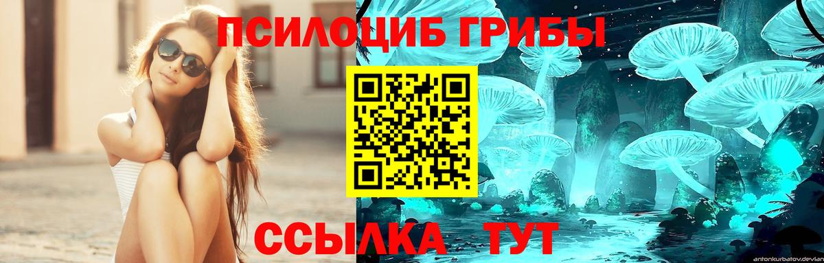 Псилоцибиновые грибы Cubensis  Галлюциногенные грибы GOLDEN TEACHER  Вход с VPN  Рузаевка 